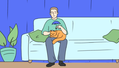 Где приобрести полис телемедицины для кошек и собак